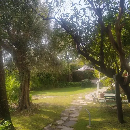 Pergolato Junior Apartment