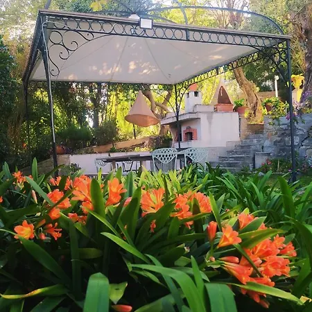 Pergolato Junior Apartment Sanremo