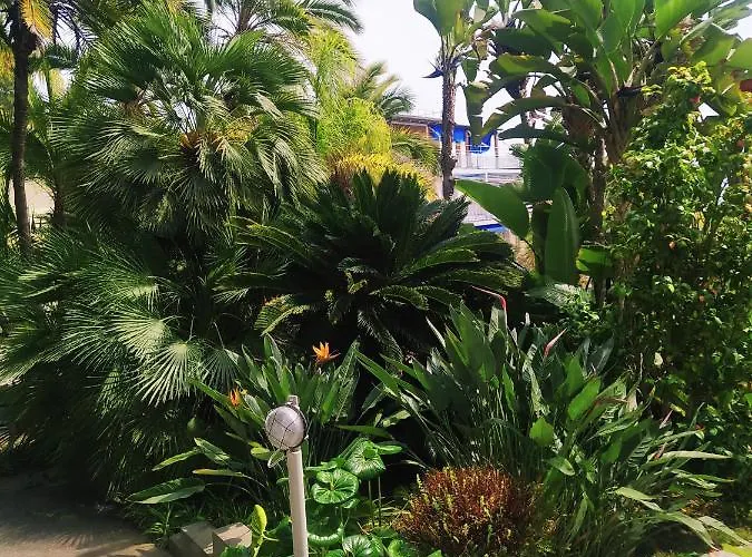 公寓 Pergolato Junior 圣雷默